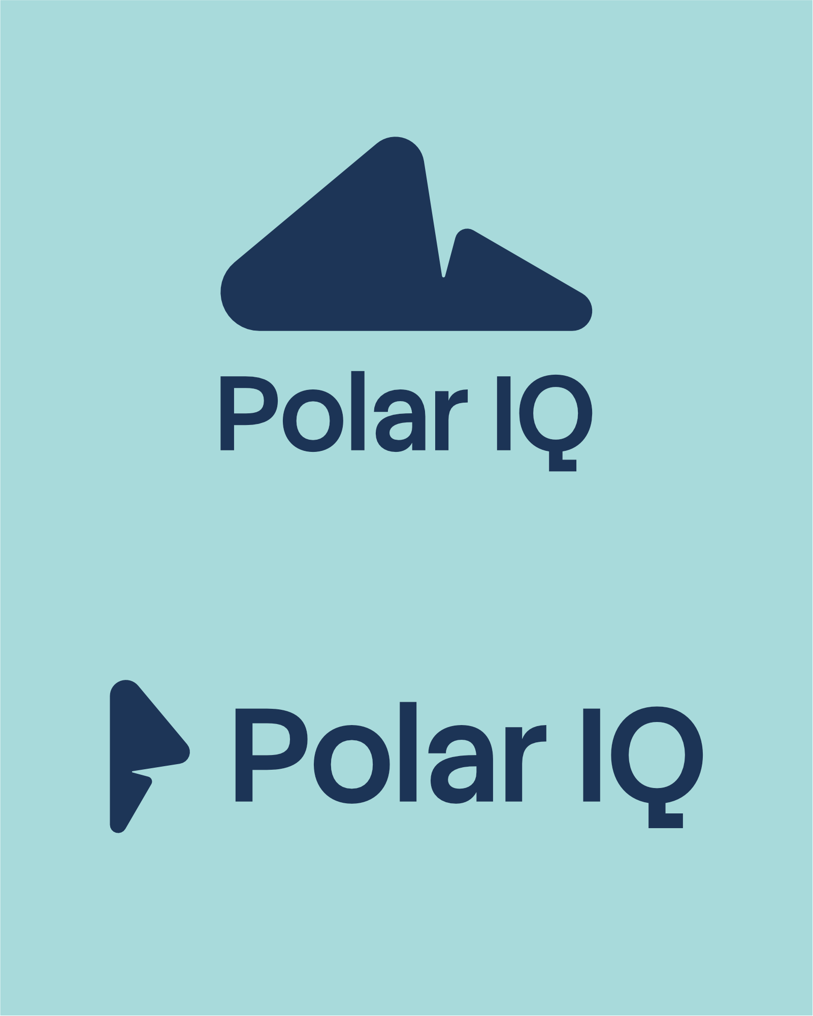 PolarIQ, Projekt 3