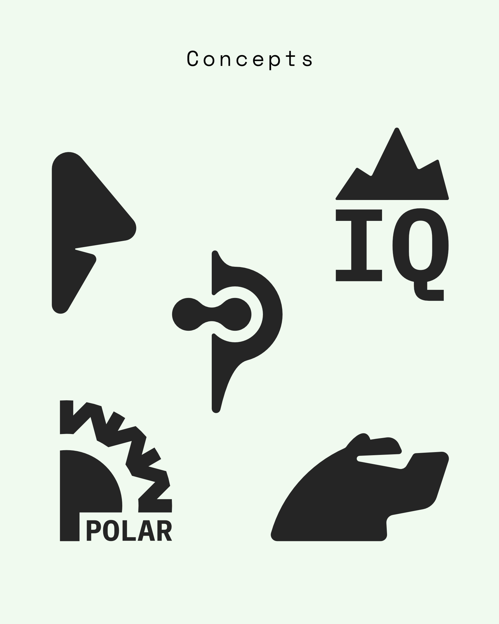 PolarIQ, Projekt 1